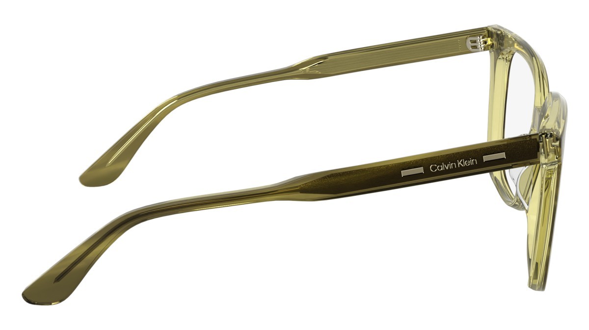Eyeglasses Calvin Klein CK25511 N (317) color striped khaki shape rectangle 