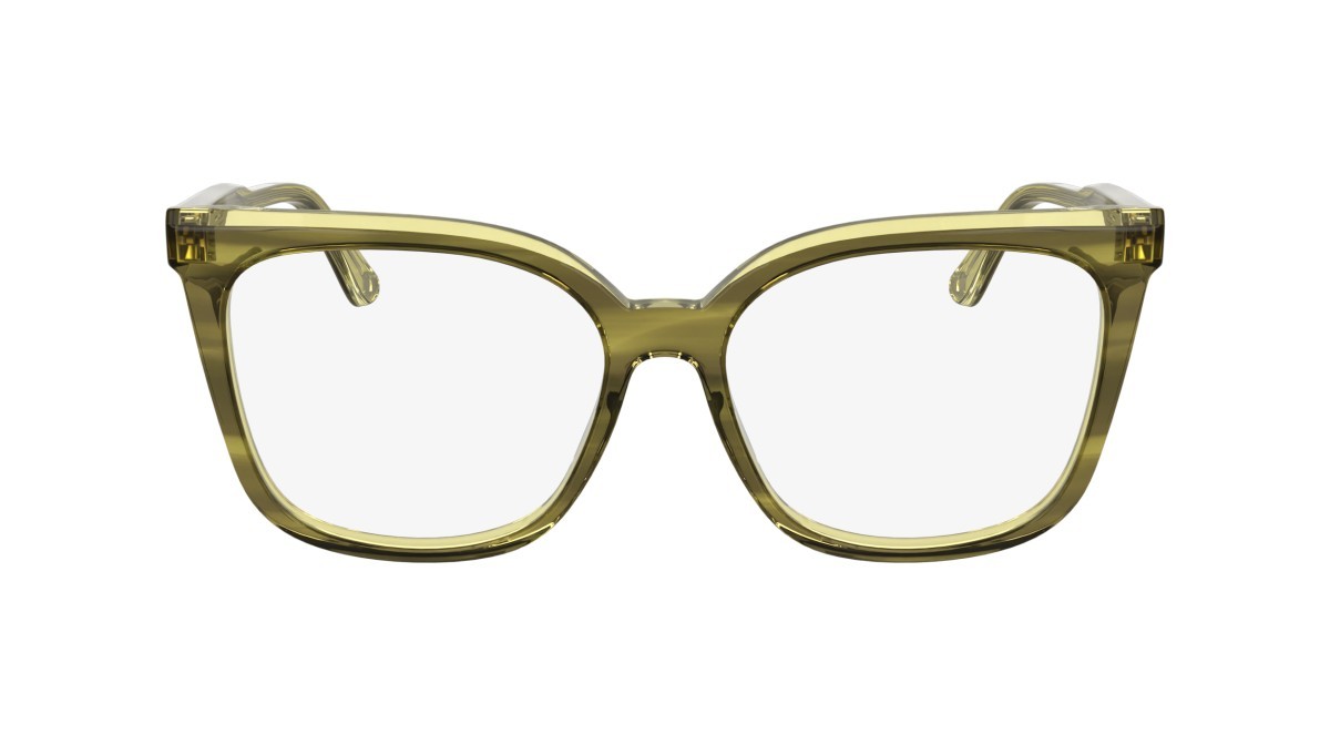 Eyeglasses Calvin Klein CK25511 N (317) color striped khaki shape rectangle 