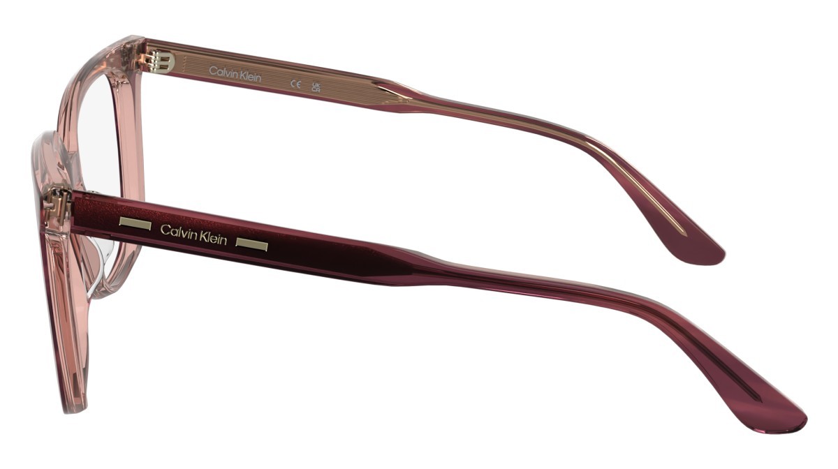 Eyeglasses Calvin Klein CK25511 N (605) color striped burgundy shape rectangle 