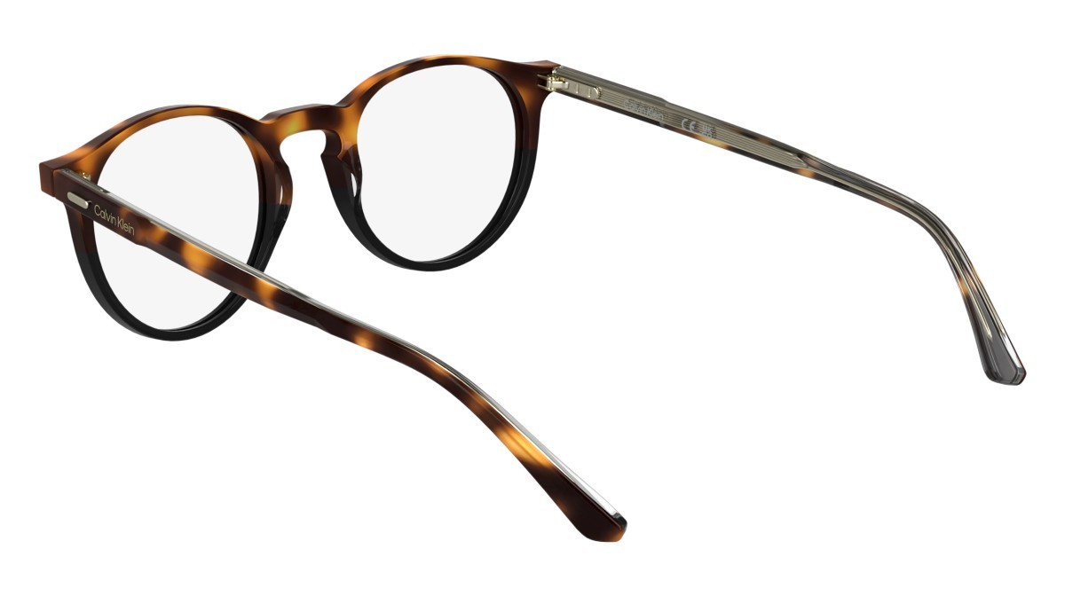 Eyeglasses Calvin Klein CK25518 (233) color havana/black shape pantos lenses colore - 3