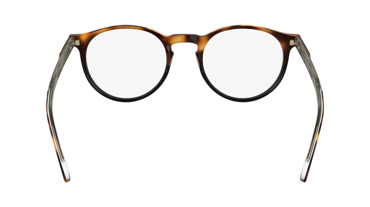Eyeglasses Calvin Klein CK25518 (233) color havana/black shape pantos lenses colore - 3