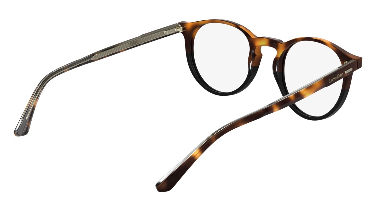 Eyeglasses Calvin Klein CK25518 (233) color havana/black shape pantos lenses colore - 3