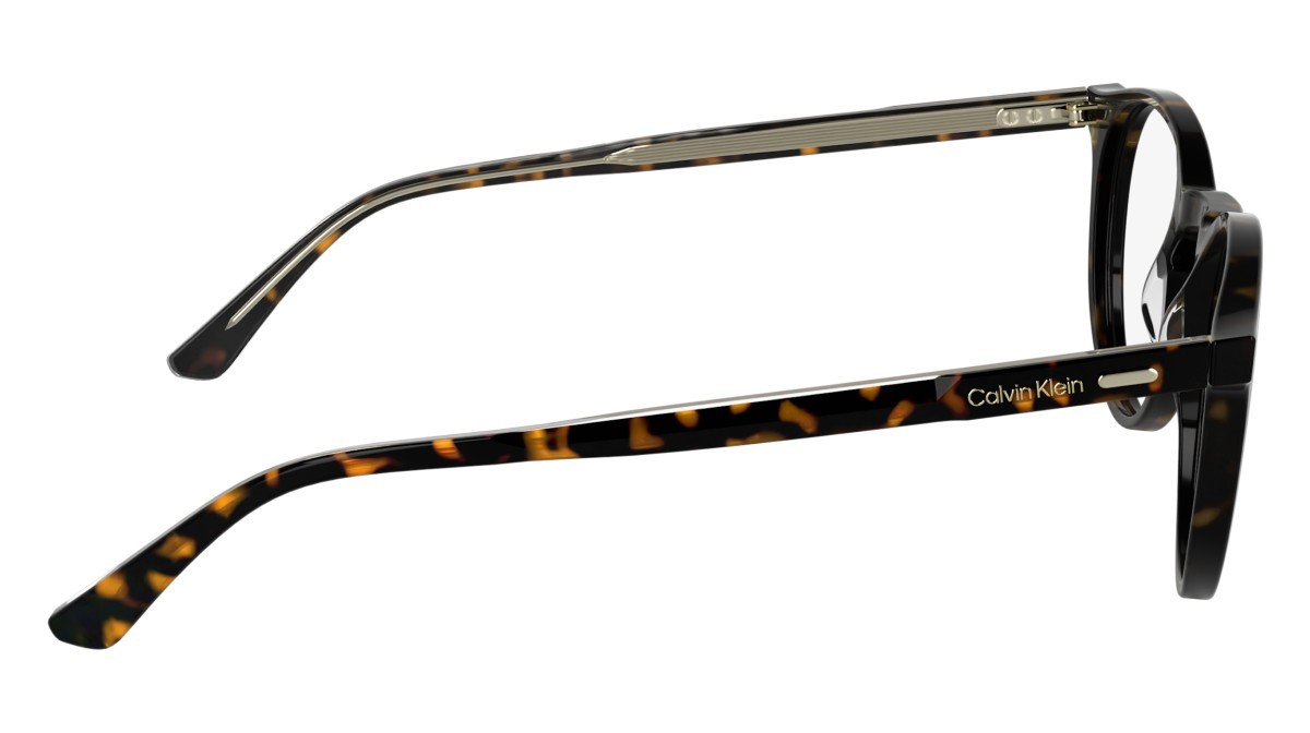 Eyeglasses Calvin Klein CK25518 (235) color dark havana shape pantos lenses colore - 2