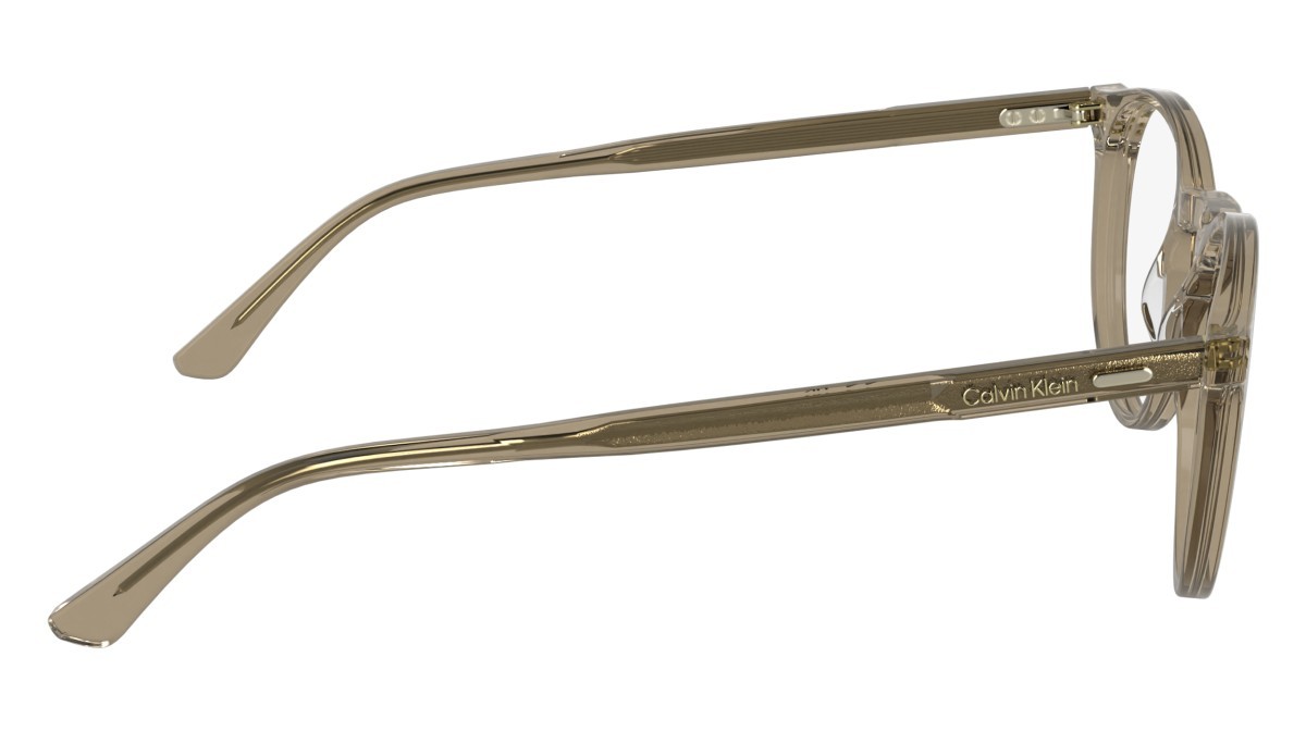 Eyeglasses Calvin Klein CK25518 N (209) color transparent beige shape pantos 
