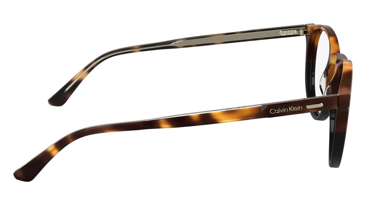Eyeglasses Calvin Klein CK25518 N (233) color havana/black shape pantos 