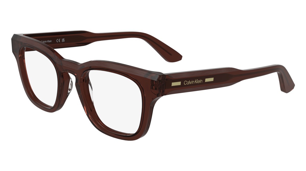 Brillen Calvin Klein CK25521 (205) farbe transparent brown form rechteckig gläser colore - 3