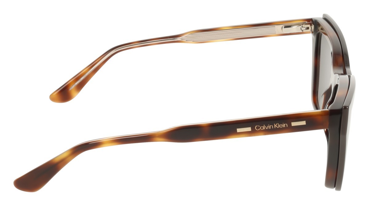 Eyeglasses Calvin Klein CK25531MAG-SET (242) color havana shape cat eye lenses green gradient