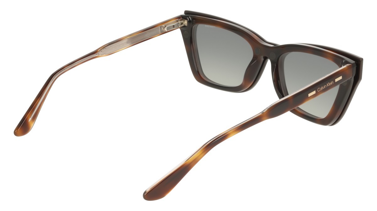 Eyeglasses Calvin Klein CK25531MAG-SET N (242) color havana shape cat eye 