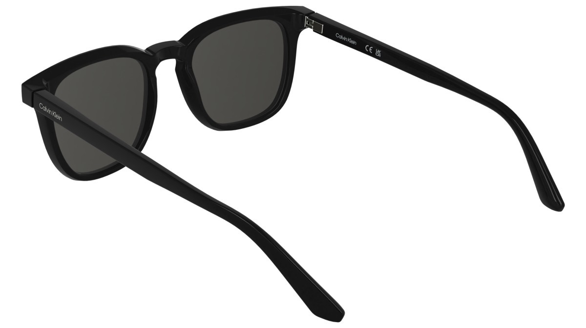 Sunglasses Calvin Klein CK25536S (001) color black shape pantos lenses solid grey