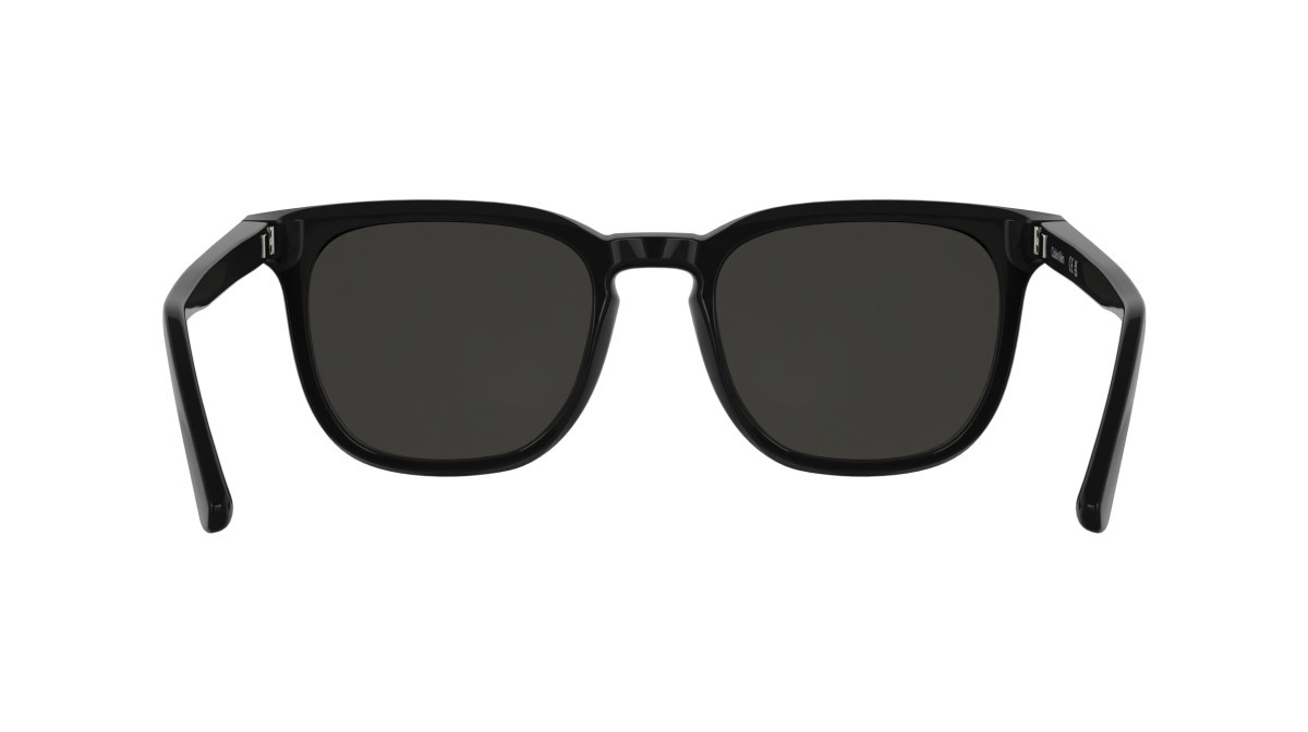 Sunglasses Calvin Klein CK25536S (001) color black shape pantos lenses solid grey