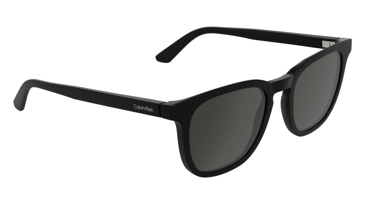 Sunglasses Calvin Klein CK25536S (001) color black shape pantos lenses solid grey