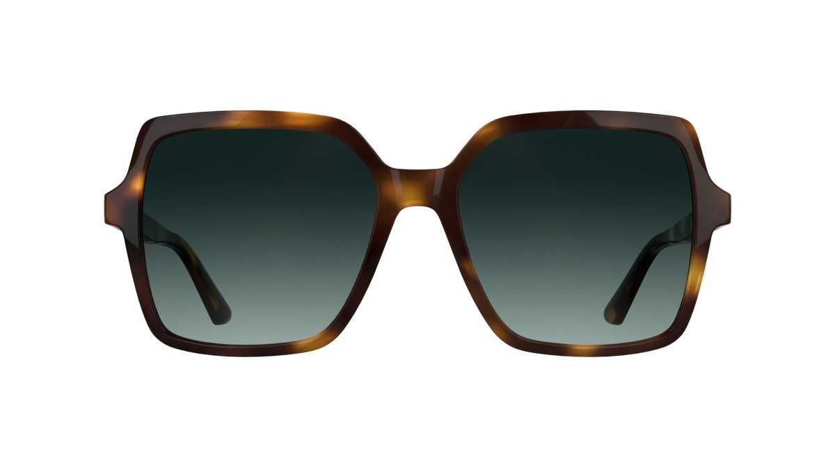 Sunglasses Calvin Klein CK25537S (235) color dark havana shape butterfly lenses gradient petrol