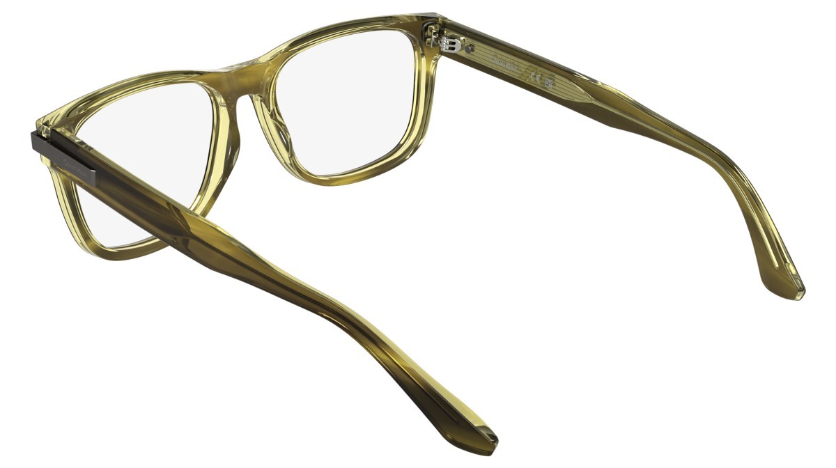 Eyeglasses Calvin Klein CK25540 (203) color transparent striped brown shape rectangle 