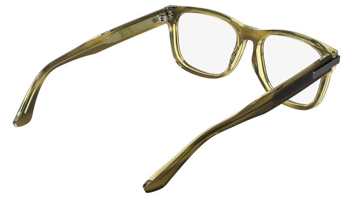 Eyeglasses Calvin Klein CK25540 (203) color transparent striped brown shape rectangle 