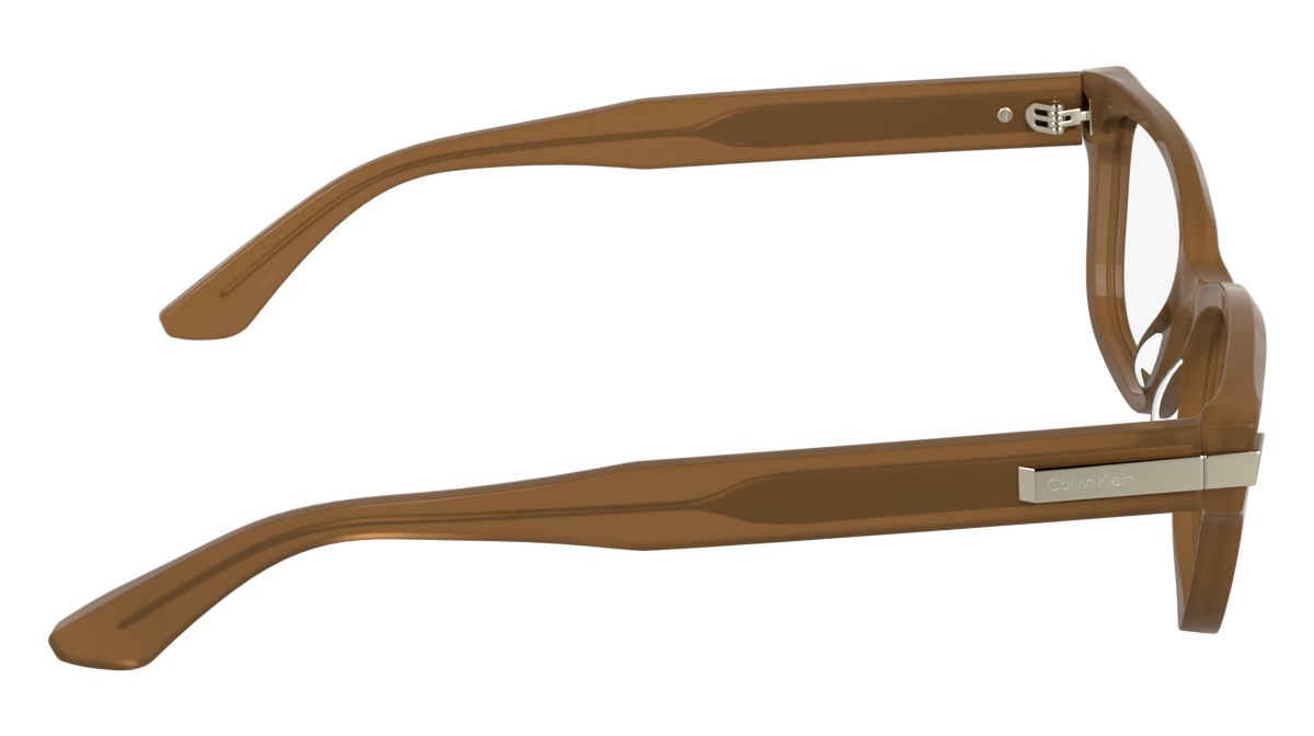 Eyeglasses Calvin Klein CK25541 (272) color opaline nude shape cat eye 