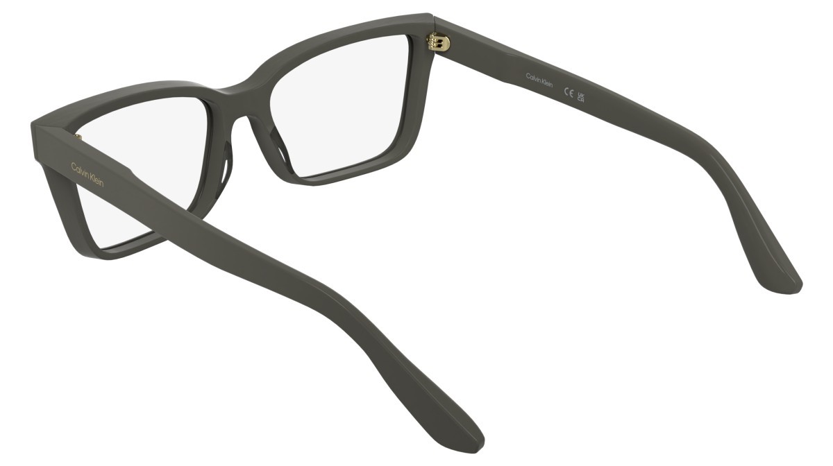 Eyeglasses Calvin Klein CK25543 (260) color taupe shape cat eye 