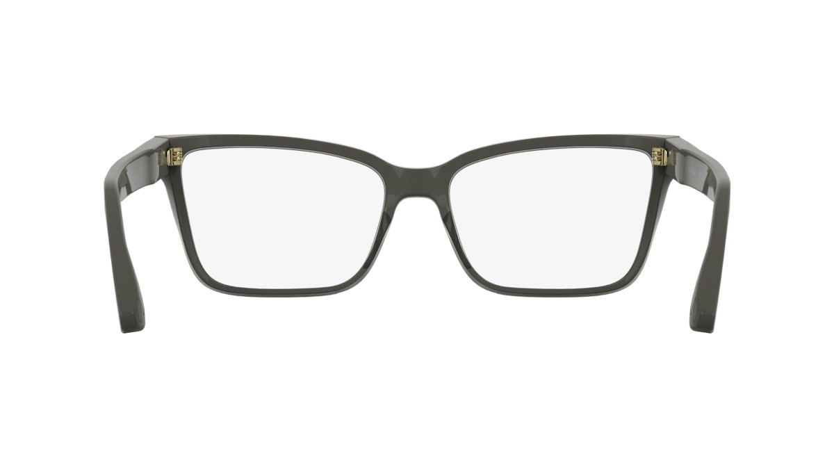 Eyeglasses Calvin Klein CK25543 (260) color taupe shape cat eye 