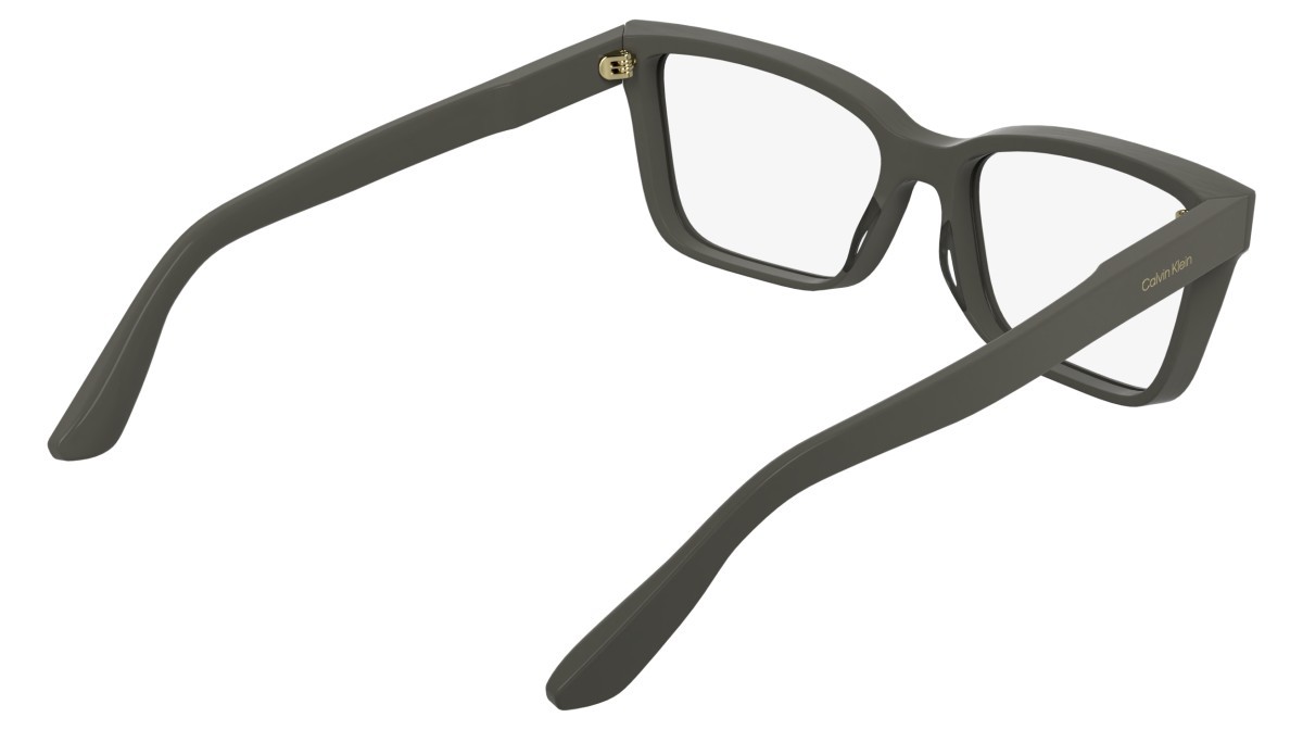 Eyeglasses Calvin Klein CK25543 (260) color taupe shape cat eye 