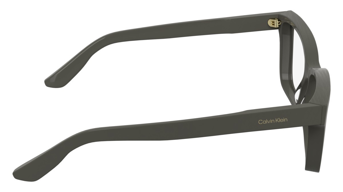 Eyeglasses Calvin Klein CK25543 (260) color taupe shape cat eye 