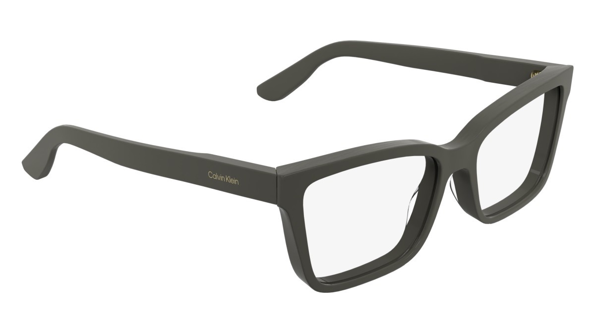Eyeglasses Calvin Klein CK25543 (260) color taupe shape cat eye 