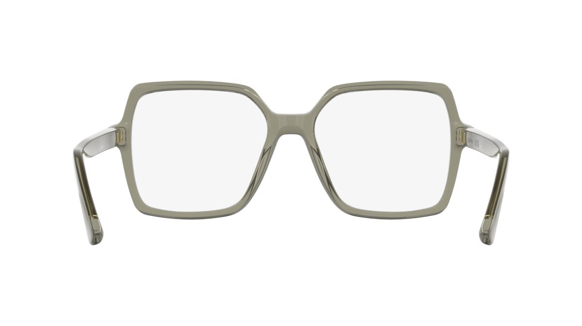 Eyeglasses Calvin Klein CK25547 (200) color transparent brown shape rectangle 