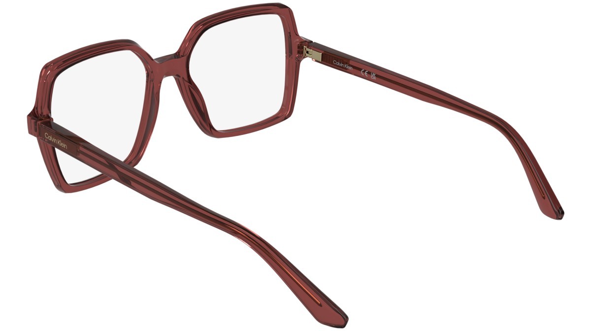 Eyeglasses Calvin Klein CK25547 (606) color transparent red shape rectangle 