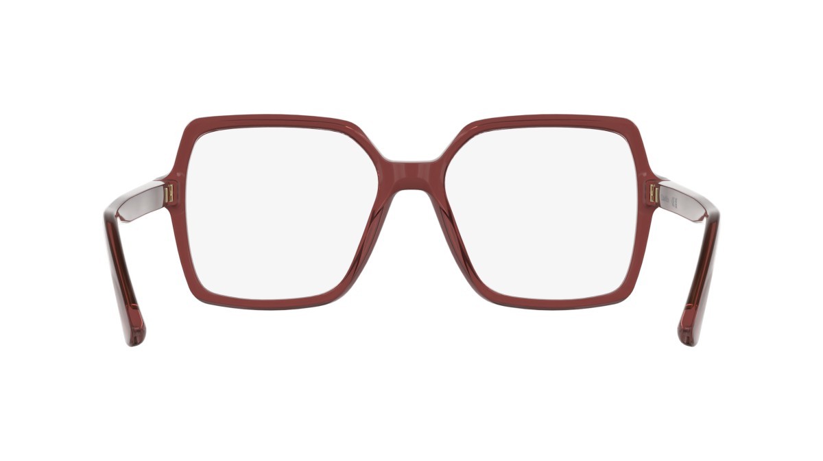Eyeglasses Calvin Klein CK25547 (606) color transparent red shape rectangle 