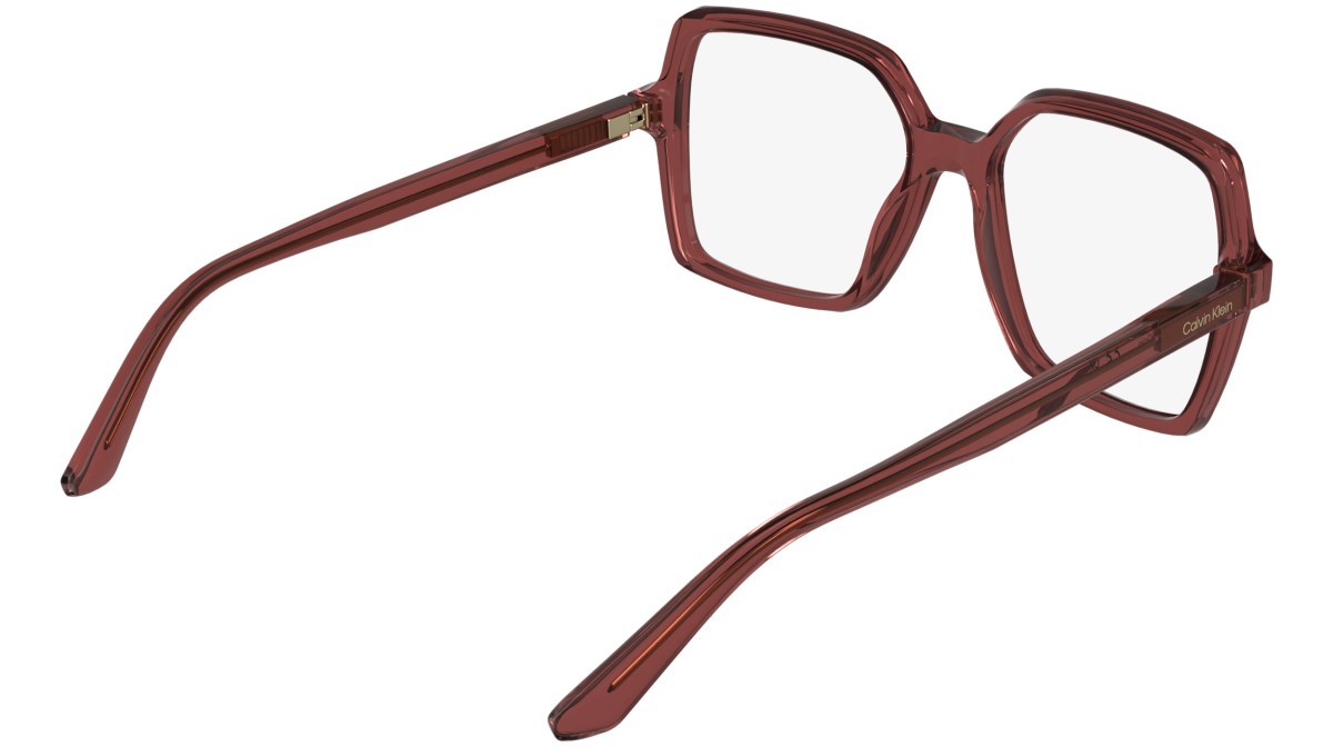 Eyeglasses Calvin Klein CK25547 (606) color transparent red shape rectangle 