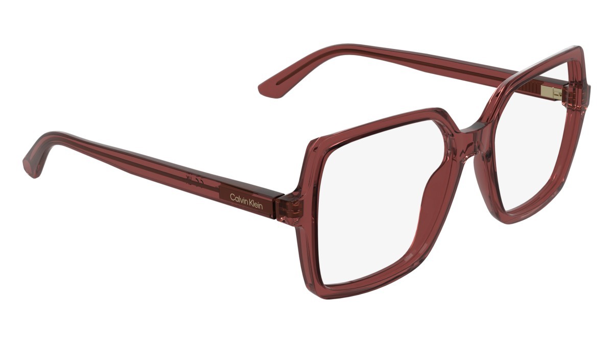 Eyeglasses Calvin Klein CK25547 (606) color transparent red shape rectangle 