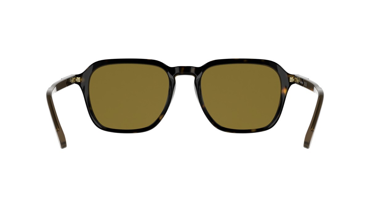 Sonnenbrillen Calvin Klein CK26507S (235) farbe dark havana form rechteckig gläser solid brown