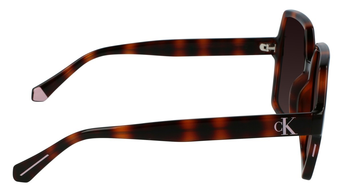 Sunglasses Calvin Klein Jeans CKJ21629S N (240) color tortoise shape square 