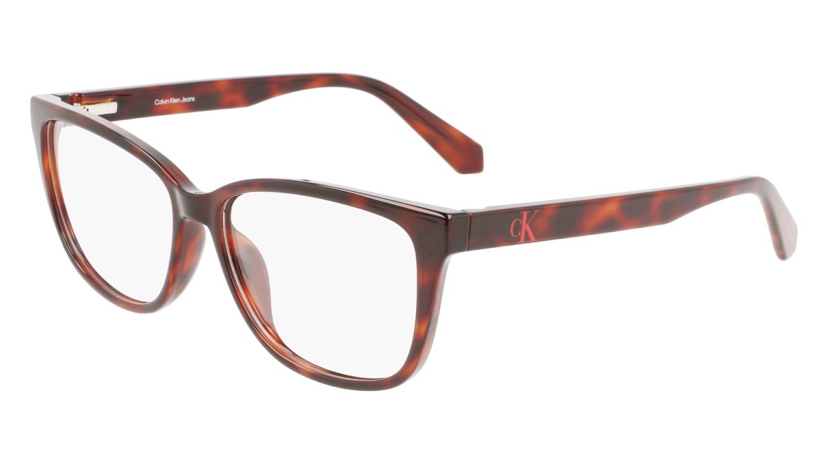 Brillen Calvin Klein Jeans CKJ22619 (240) farbe tortoise form cat-eye gläser demo