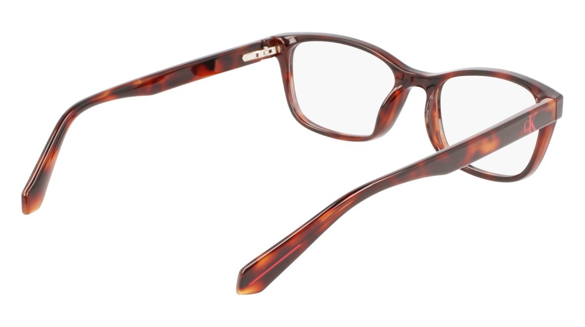 Brillen Calvin Klein Jeans CKJ22622 (240) farbe tortoise form pantos gläser demo