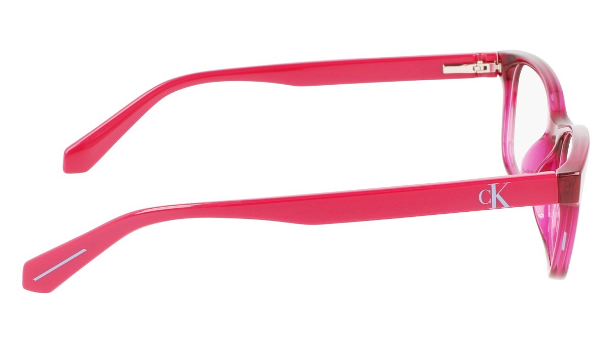 Brillen Calvin Klein Jeans CKJ22622 (679) farbe cherry form pantos gläser demo