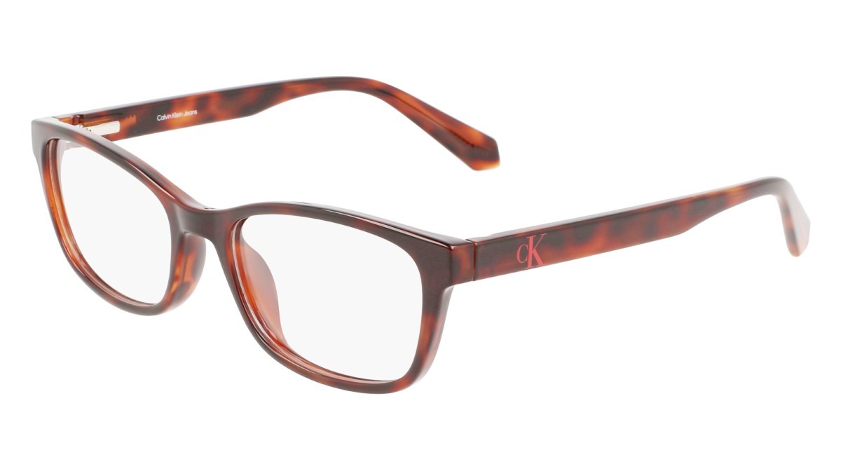 Brillen Calvin Klein Jeans CKJ22622 N (240) farbe tortoise form pantos gläser demo