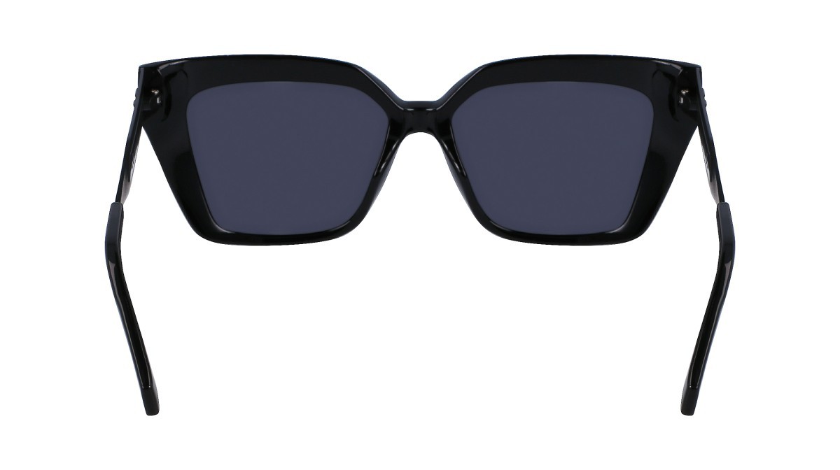 Sonnenbrillen Calvin Klein Jeans CKJ22639S (001) farbe black form schmetterling gläser solid smoke