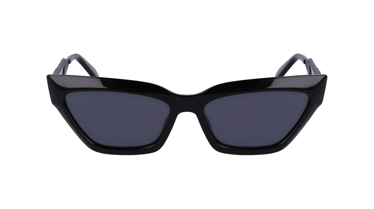 Sonnenbrillen Calvin Klein Jeans CKJ22640S (001) farbe black form cat-eye gläser solid grey