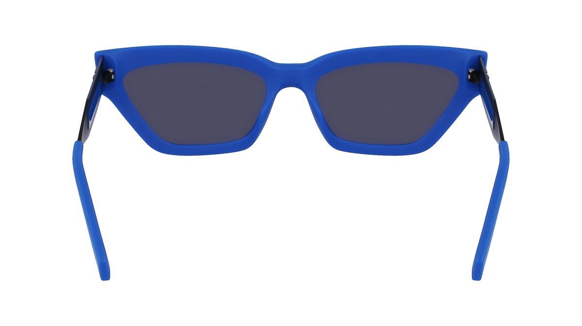 Sonnenbrillen Calvin Klein Jeans CKJ22640S (400) farbe blue form cat-eye gläser solid grey