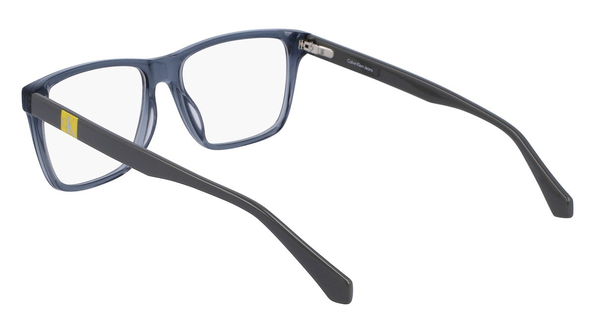 Brillen Calvin Klein Jeans CKJ22644 (050) farbe gray form rechteckig 