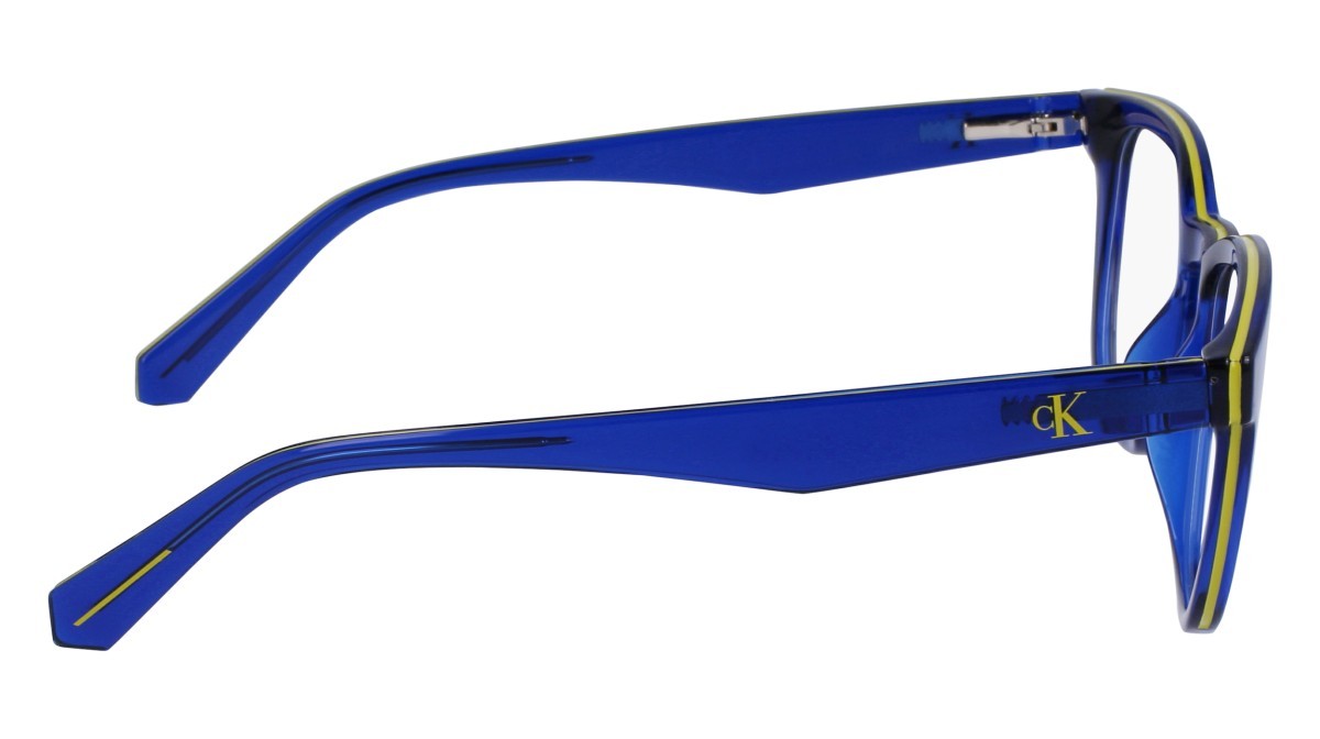 Brillen Calvin Klein Jeans CKJ22650 (400) farbe blue form rund 