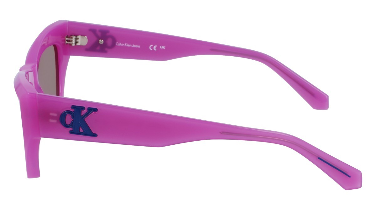 Sonnenbrillen Calvin Klein Jeans CKJ23641S (540) farbe lilac form schmetterling gläser solid brown