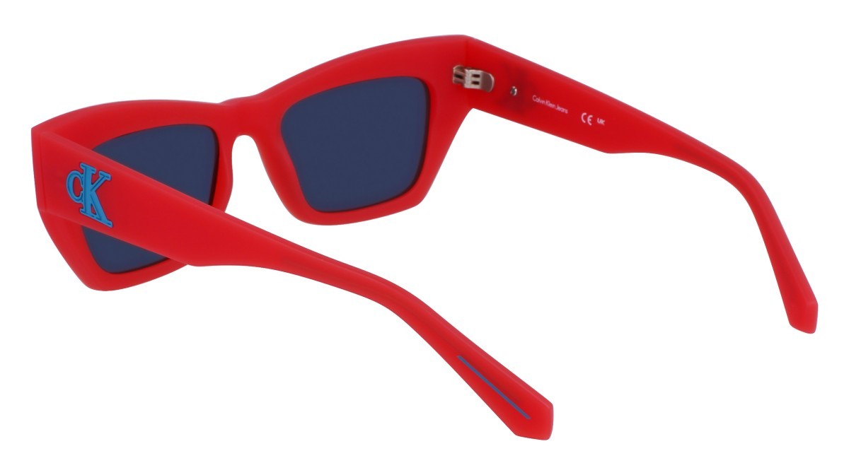 Sonnenbrillen Calvin Klein Jeans CKJ23641S (600) farbe strawberry form schmetterling gläser grey