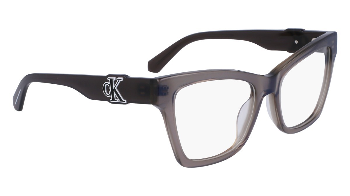 Brillen Calvin Klein Jeans CKJ23646 (050) farbe grey form schmetterling 
