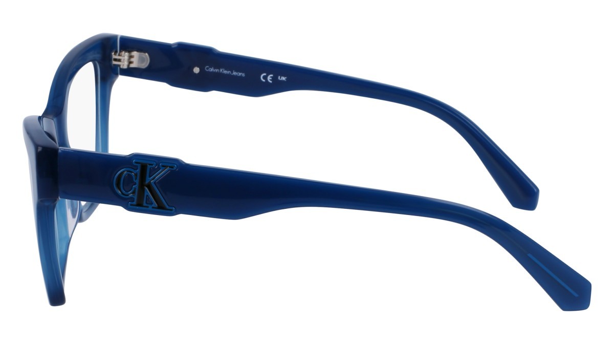 Brillen Calvin Klein Jeans CKJ23646 (400) farbe blue form schmetterling 