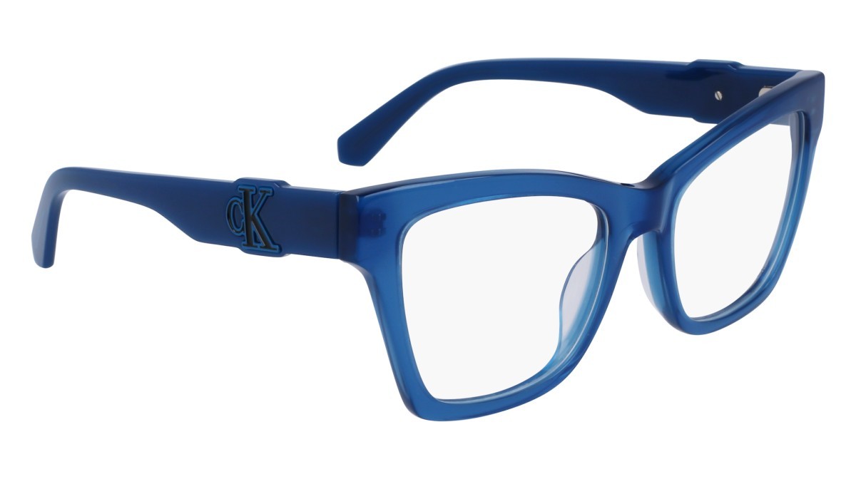 Brillen Calvin Klein Jeans CKJ23646 (400) farbe blue form schmetterling 
