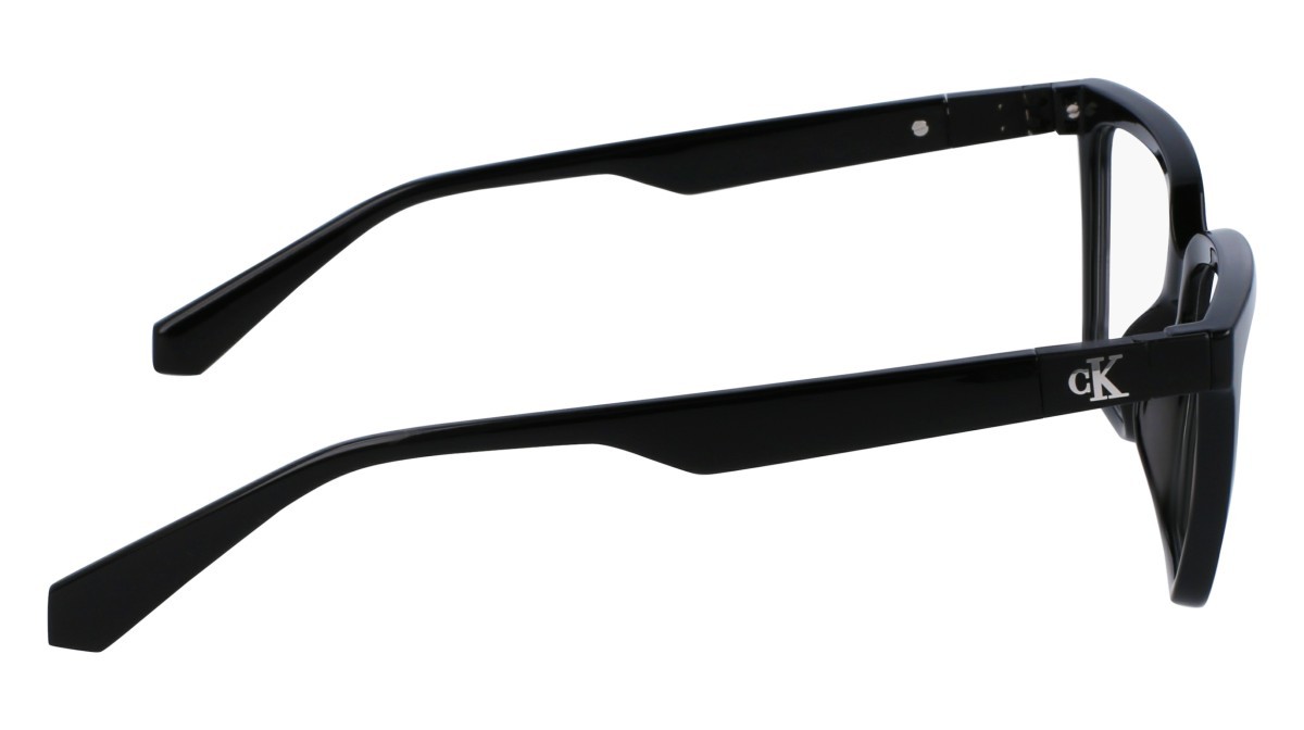 Brillen Calvin Klein Jeans CKJ23648 (001) farbe black form cat-eye 