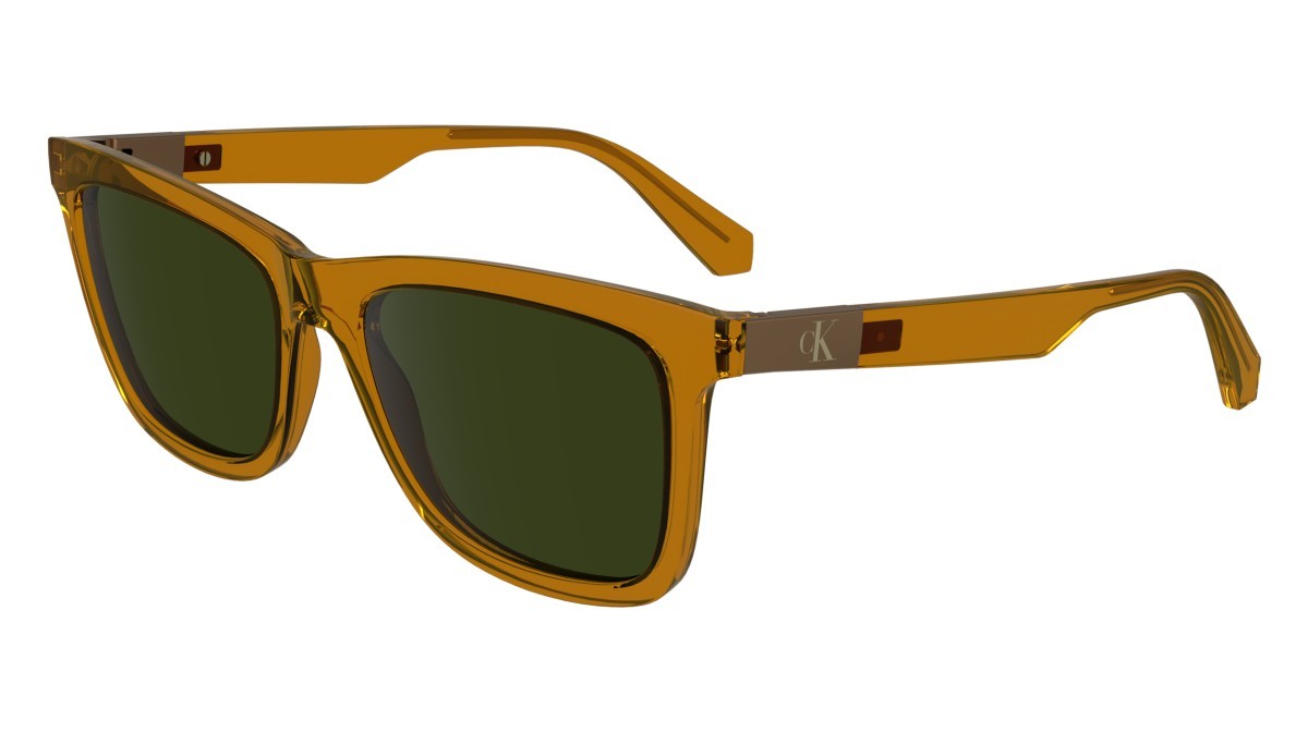 Sunglasses Calvin Klein Jeans CKJ24601S (261) color caramel shape rectangle lenses solid green
