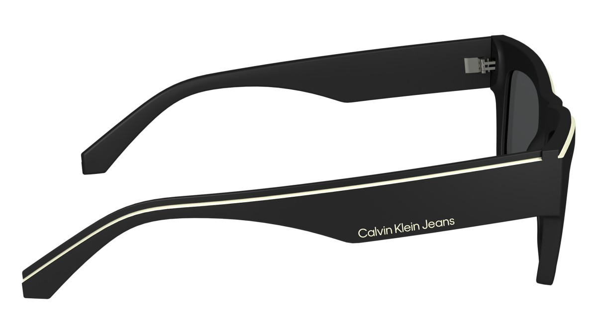 Sonnenbrillen Calvin Klein Jeans CKJ24602S (001) farbe black form rechteckig gläser solid grey