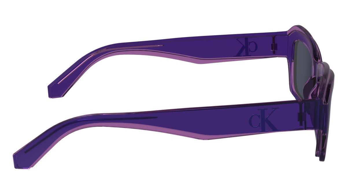 Sonnenbrillen Calvin Klein Jeans CKJ24608S (500) farbe purple form rechteckig gläser solid violet