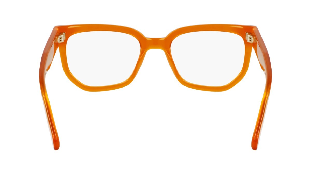 Brillen Calvin Klein Jeans CKJ24615 (201) farbe brown to havana form rechteckig gläser color add 1
